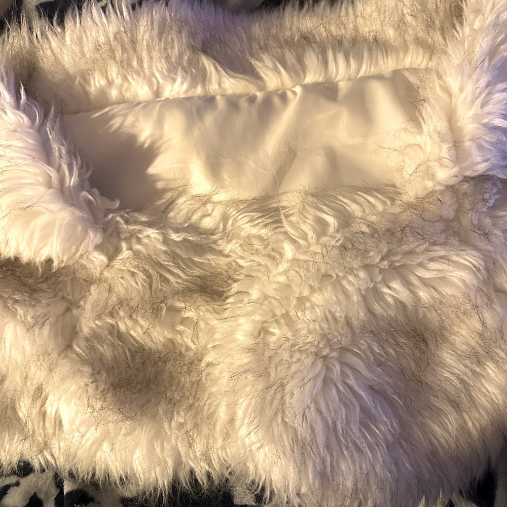 Woman’s fur Shaw brand new